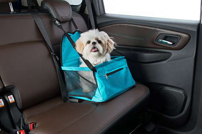 Chevrolet lança acessórios para o transporte de PETs Chevrolet lança acessórios para o transporte de PETs