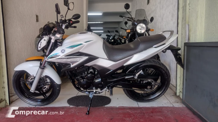 YS 250 Fazer Blueflex