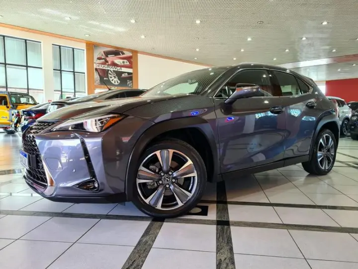 UX250H LUXURY