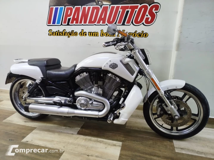 V Rod Custom 1250 cc