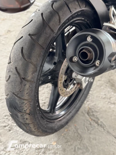 YS 250 FAZER/ FAZER L. EDITION /BLUEFLEX