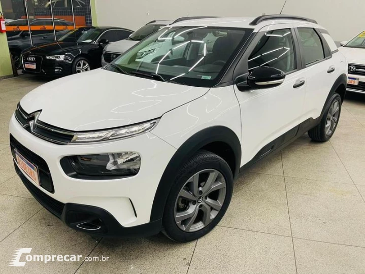 C4 CACTUS FEEL AT