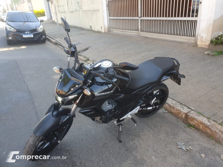 Fz15