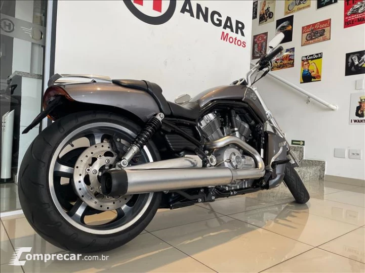 V-ROD MUSCLE