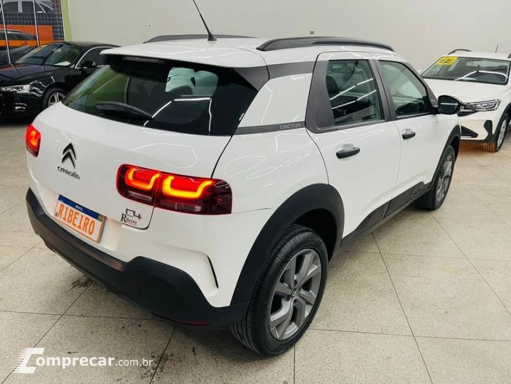 C4 CACTUS FEEL AT