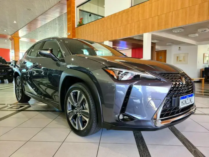 UX250H LUXURY
