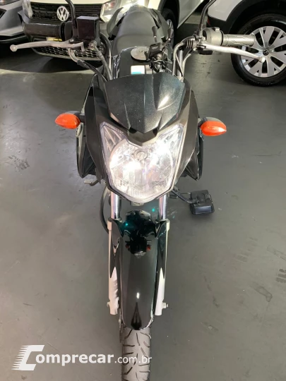 YS150 FAZER ED