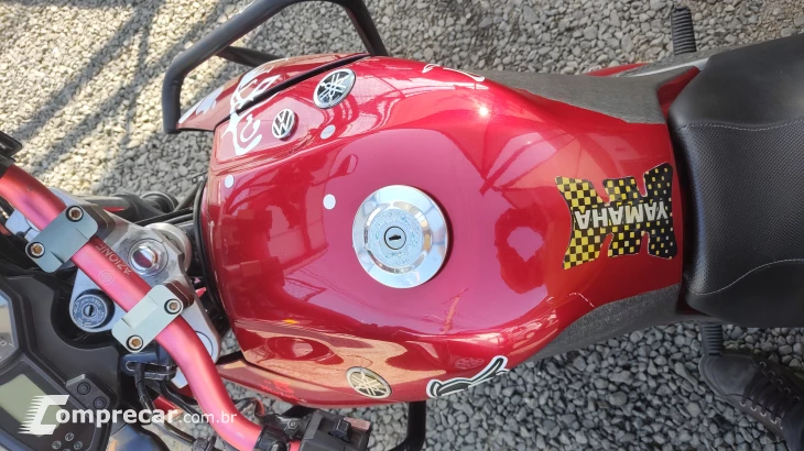 FAZER YS250