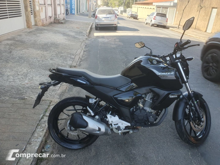 Fz15