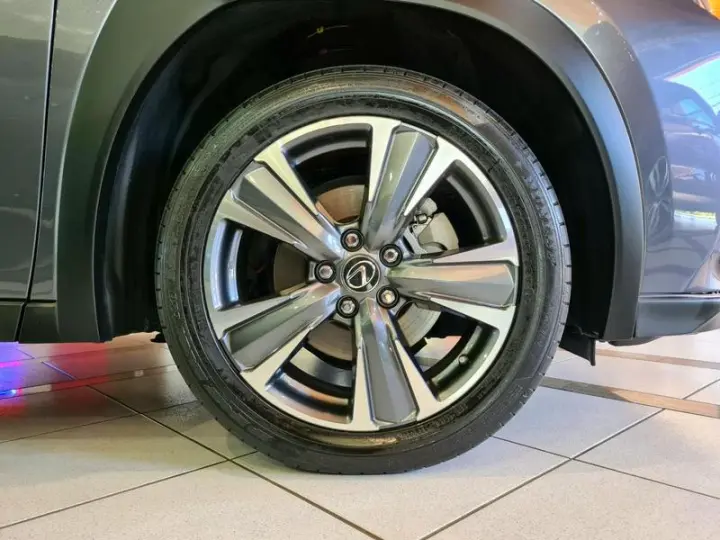 UX250H LUXURY