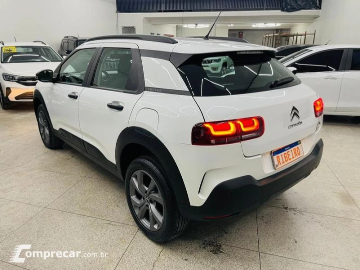 C4 CACTUS FEEL AT