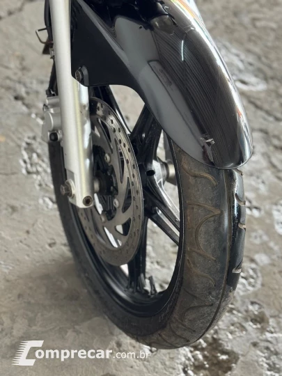 YS 250 FAZER/ FAZER L. EDITION /BLUEFLEX