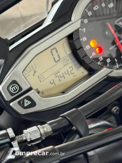 TIGER 800 XRXL