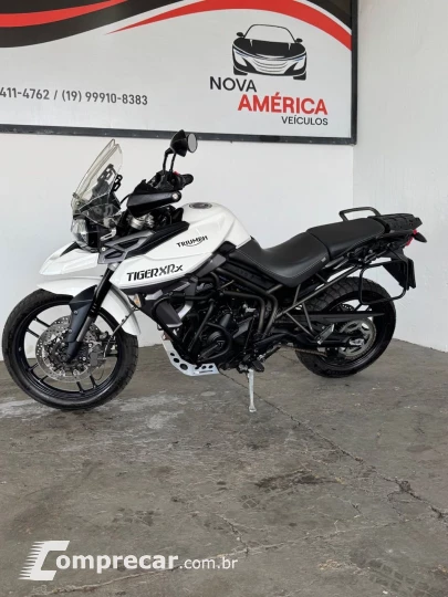 TIGER 800 XRXL