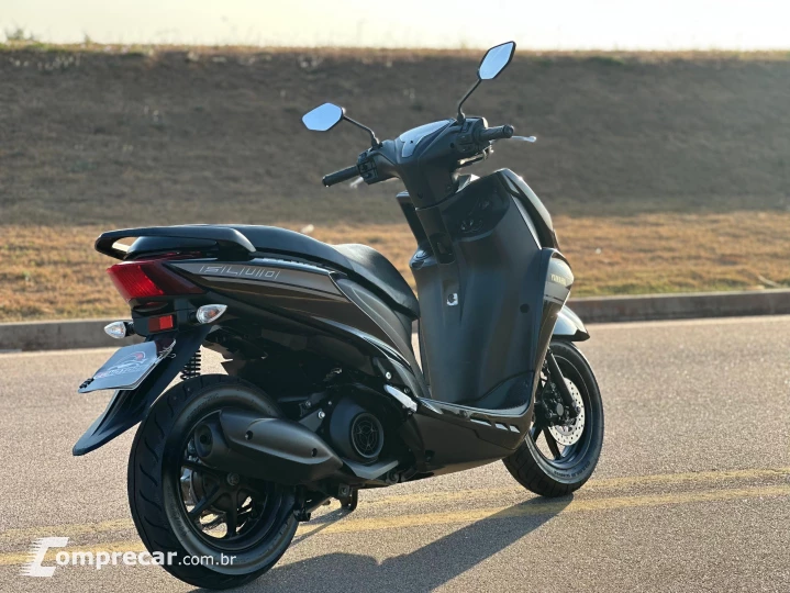FLUO 125