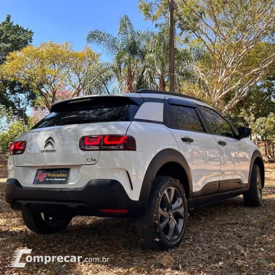 C4 CACTUS FEEL AT