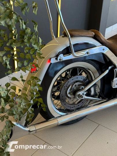 SOFTAIL DELUXE FLSTN