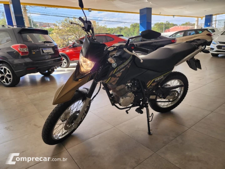 XTZ XTZ 150 CROSSER Z FLEX