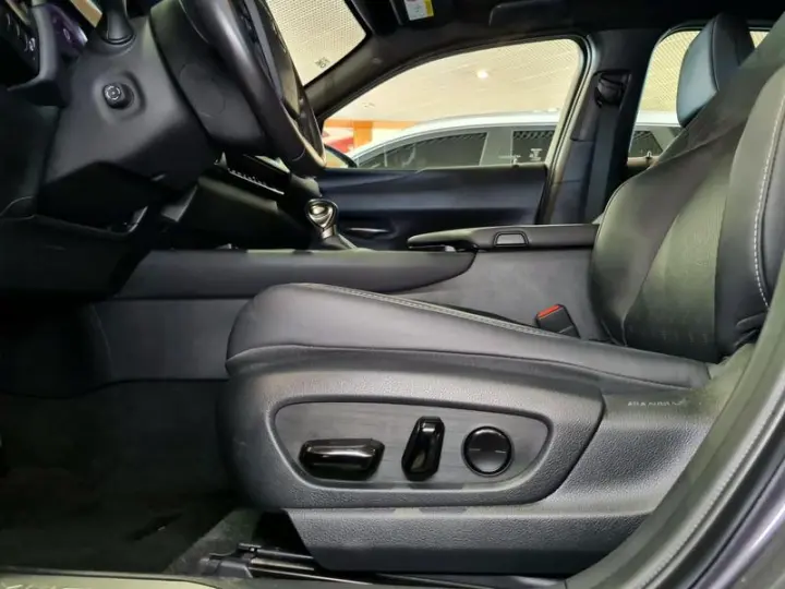 UX250H LUXURY