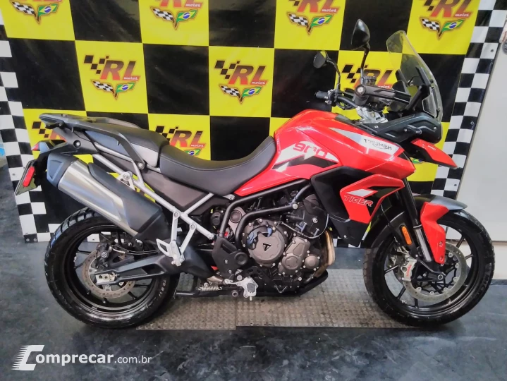 Tiger 900 gt pro