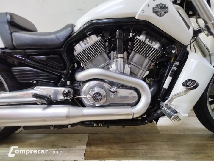 V Rod Custom 1250 cc