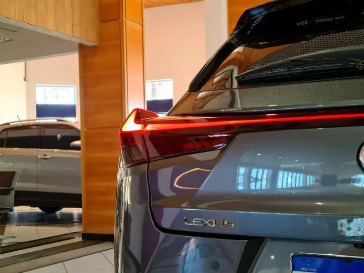 UX250H LUXURY