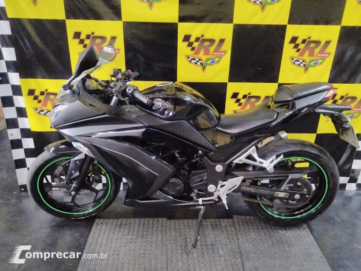Ninja 300