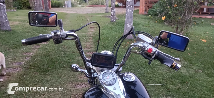 DRAG STAR XVS 650