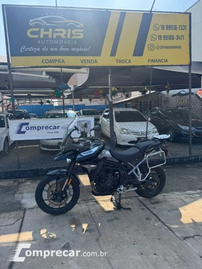 TIGER 900 GT PRO