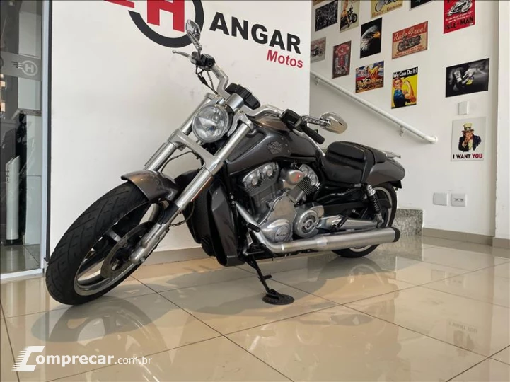 V-ROD MUSCLE