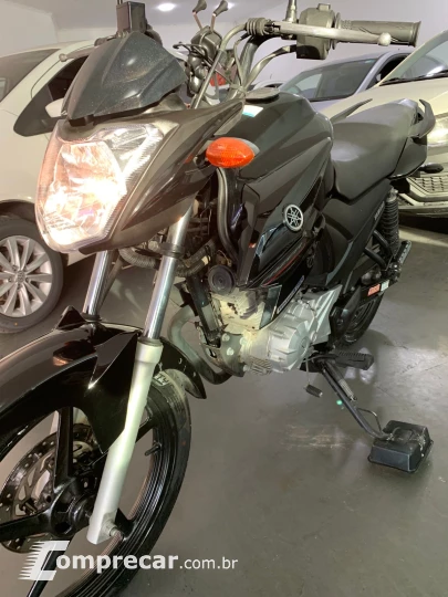 YS150 FAZER ED