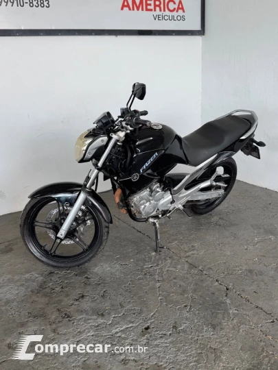 YS 250 FAZER/ FAZER L. EDITION /BLUEFLEX