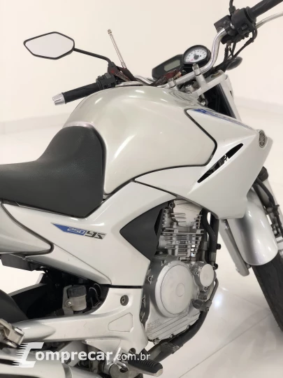 FAZER YS 250cc BLUEFLEX