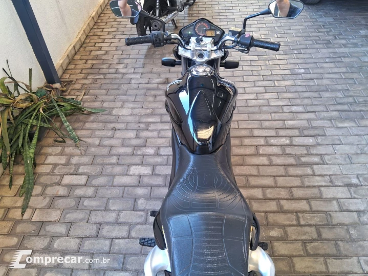 CB 300 R R FLEX