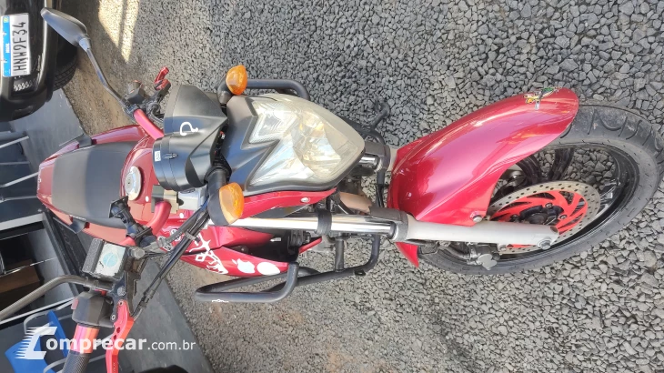 FAZER YS250