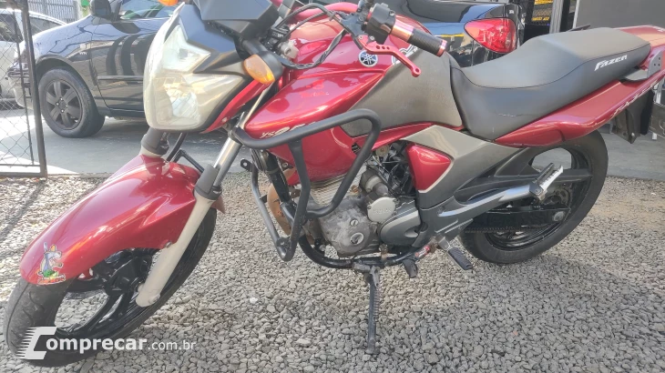 FAZER YS250