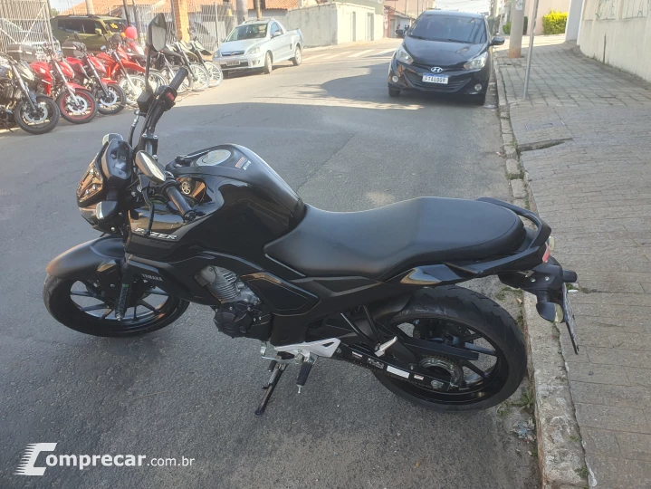 Fz15