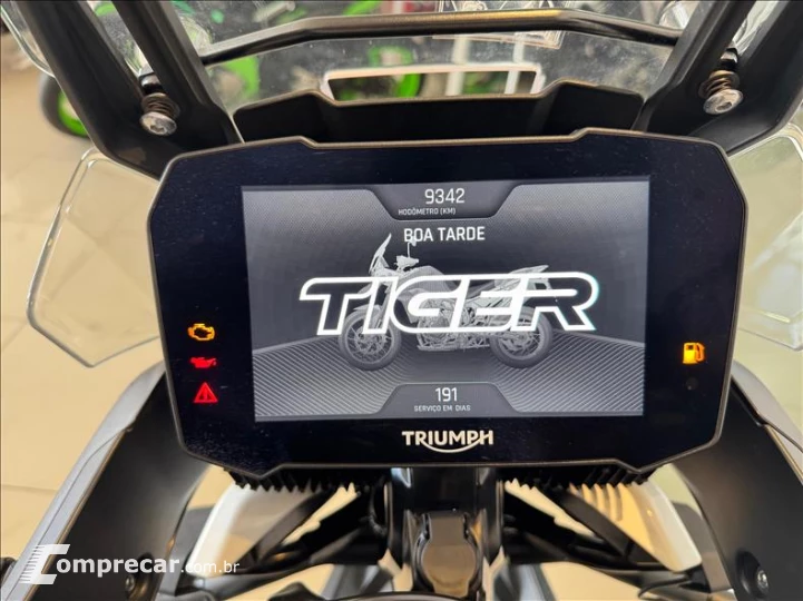 TIGER 900 GT PRO