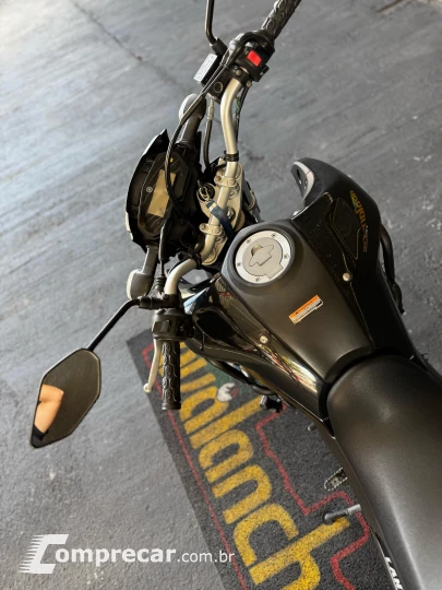 XTZ 250 LANDER 249cc/LANDER BLUEFLEX/ABS