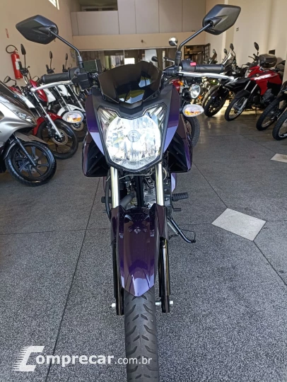 YS 150 FAZER SED/ FLEX