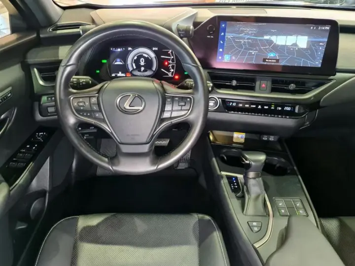 UX250H LUXURY