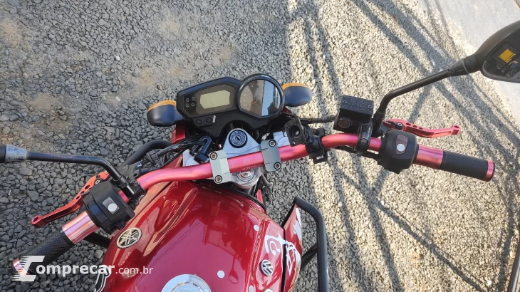 FAZER YS250