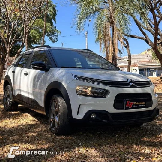 C4 CACTUS FEEL AT