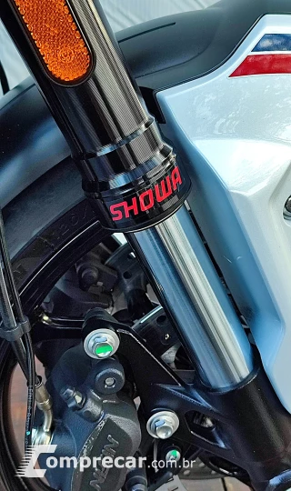 TRIUMPH TRIDENT TRIBUTE