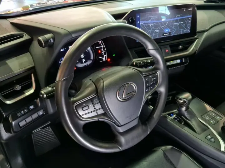 UX250H LUXURY