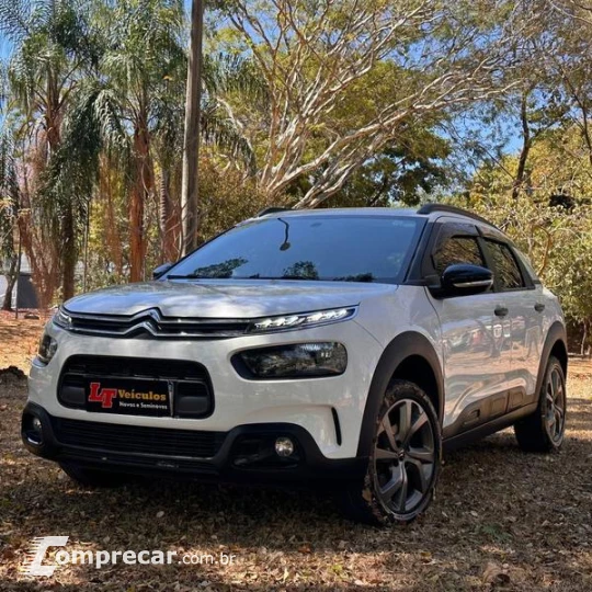 C4 CACTUS FEEL AT