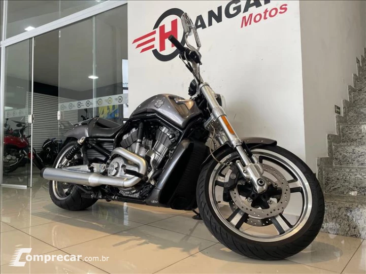 V-ROD MUSCLE