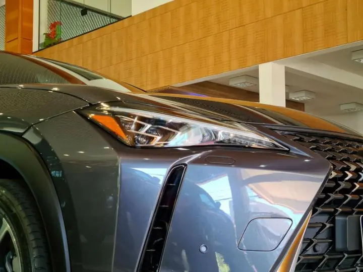 UX250H LUXURY