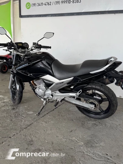 YS 250 FAZER/ FAZER L. EDITION /BLUEFLEX