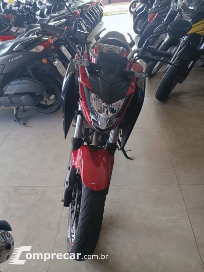 CB 300 F TWISTER